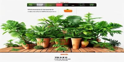 创作分享类打屁股网站最新收录，创作者平台截图，展示原创内容质量与创作生态完善度